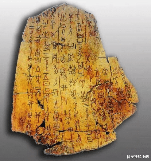 商朝|青铜煮人头?挖掘神秘的殷墟不仅带来了惊喜,还有惊吓