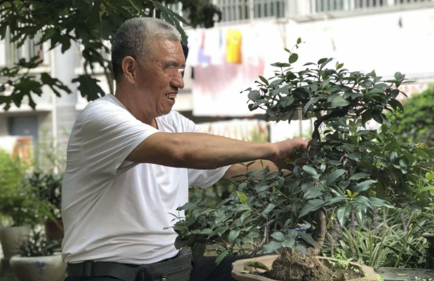 衰老|喝一口近似钢丝球“刮胃”,多个院士呼吁:“1茶叶”别再饮用,太伤胃