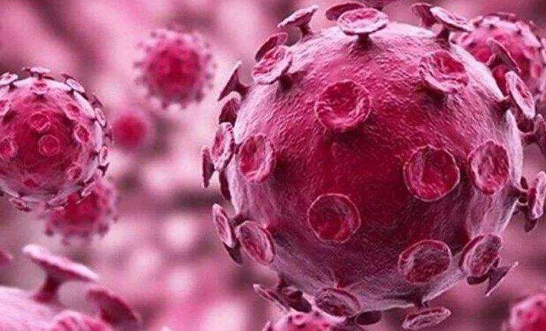 饮食|上门女婿感染上HPV,丈母娘无言,全家集体中招,医生叹息:真是胡来