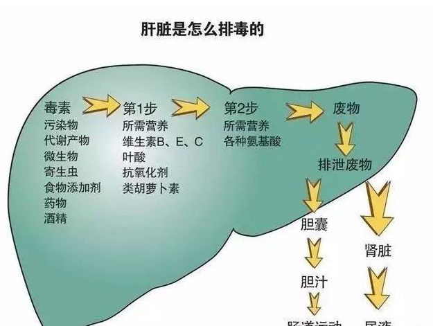 睡眠|肝胆科医生联合呼吁：停止食用“1素食”，吃一次相当于10斤味精，趁早扔