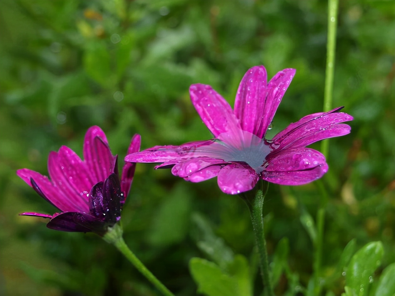 大肠腿在这里|人与人之间，即是一份缘！