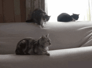 洋葱|19岁小伙骗40岁漂亮阿姨千里来约会，阿姨：“我不能伤害你”哇哈哈哈～