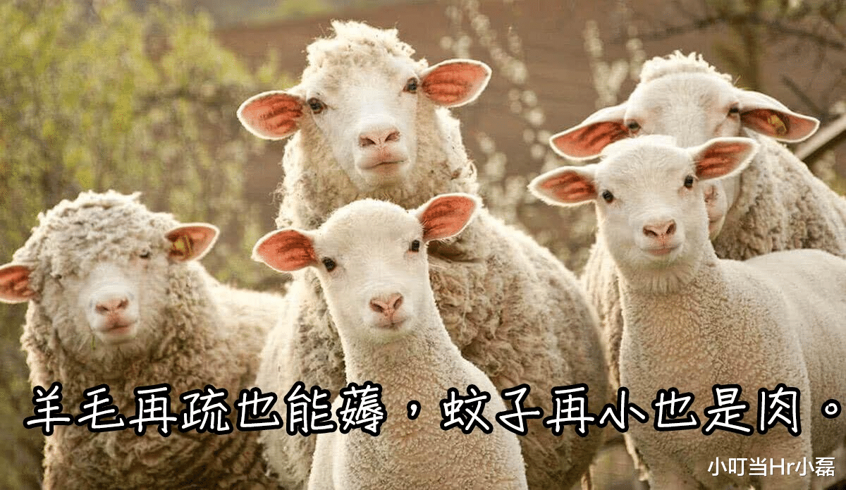 田纳西|韩国梦：狠捞工友2000万，就因为会说韩语？
