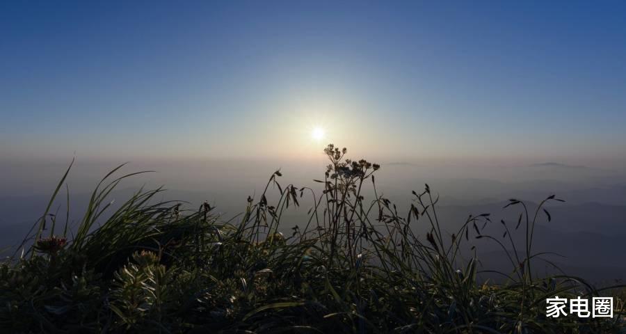 家电企业|再不忙起来一些家电厂商就麻烦了