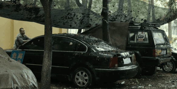 秦岚|没有撕逼和狗血，青春片还能这么拍？