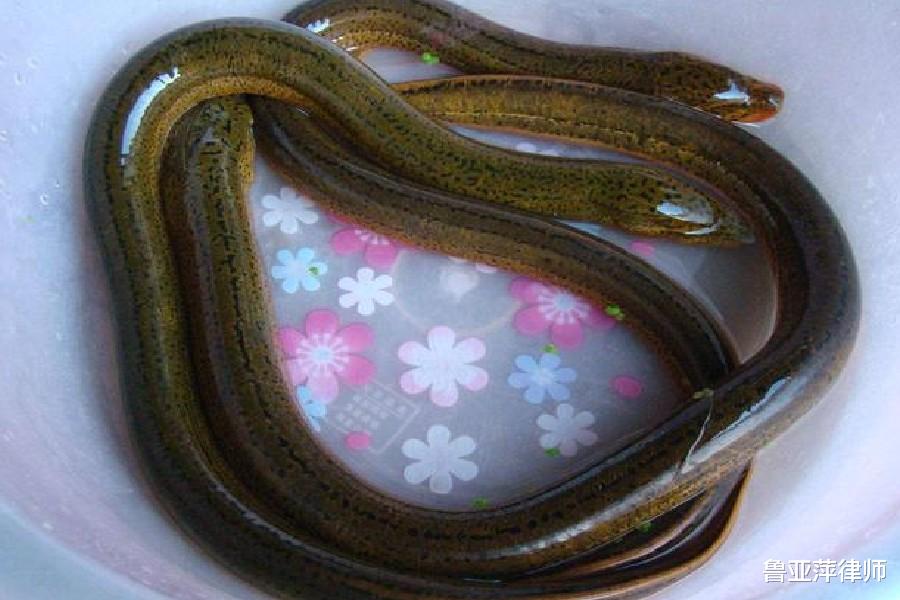 民警 男子杀人后逃入深山老林，半年后化为一具白骨