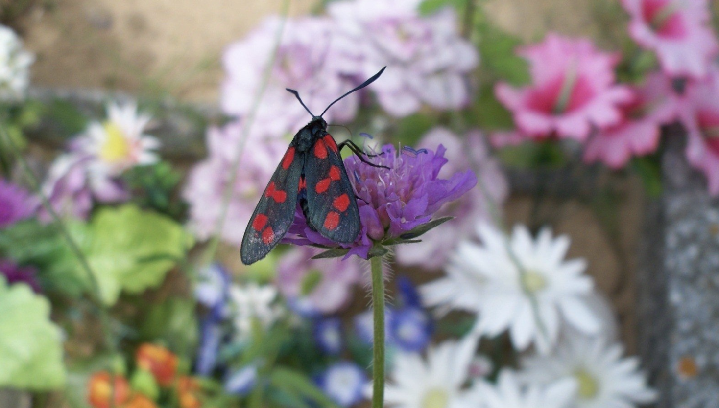生肖夜读 10月底，生活有盼头，事业有出头，3生肖贵人多，好运来，腰包鼓鼓
