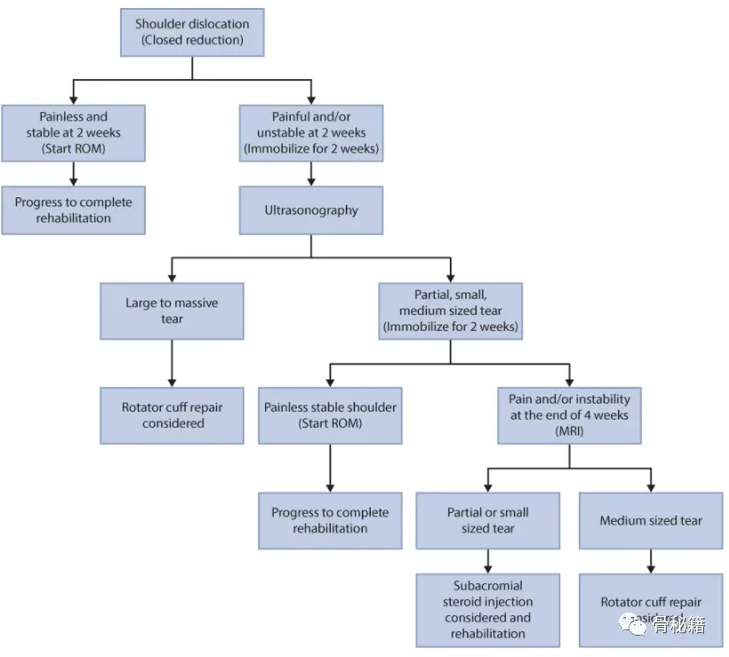 关节脱位|老年肩关节脱位的处理,推荐都看看