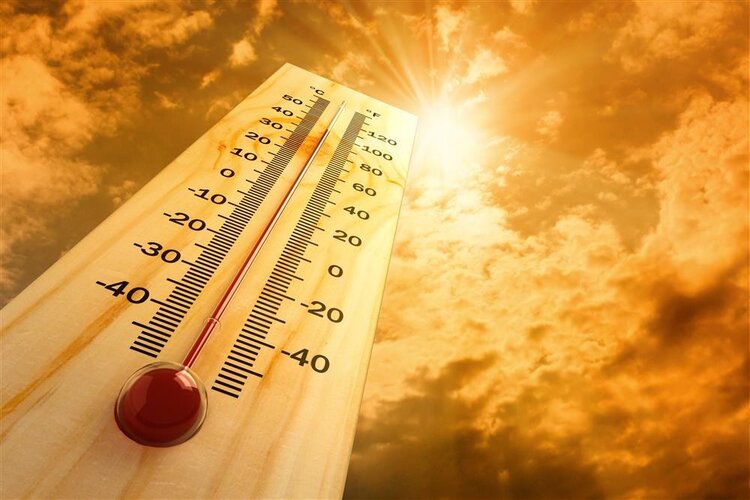 39奇妙的中医|43℃能烫死癌细胞,证实有效,发烧治疗可吗?医生:没那么简单