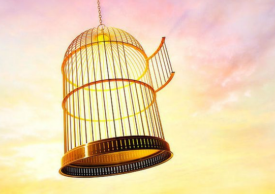 薇娅|逆向思维：如何一天引流200个精准客户，搞懂这个思维你就赚了