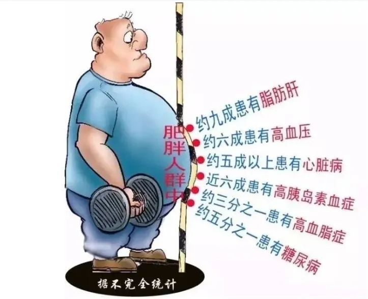 咳嗽|当你老了—预防和缓解动脉粥样硬化，日常饮食这样调整才行