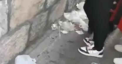 山东省 山东“人造”西南小镇，宣传满天飞，游客：“垃圾”小镇！