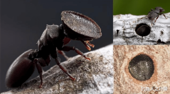 |27张活久见的照片，看完涨姿势了