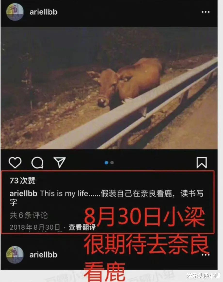 陈哲远|顶流预备役塌房了！没红就有两个嫂子？