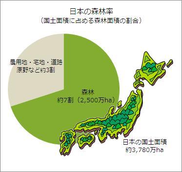 日本|日本为购买中国的一次性筷子！根本不是舍不得砍树，这谎言骗了一代人！