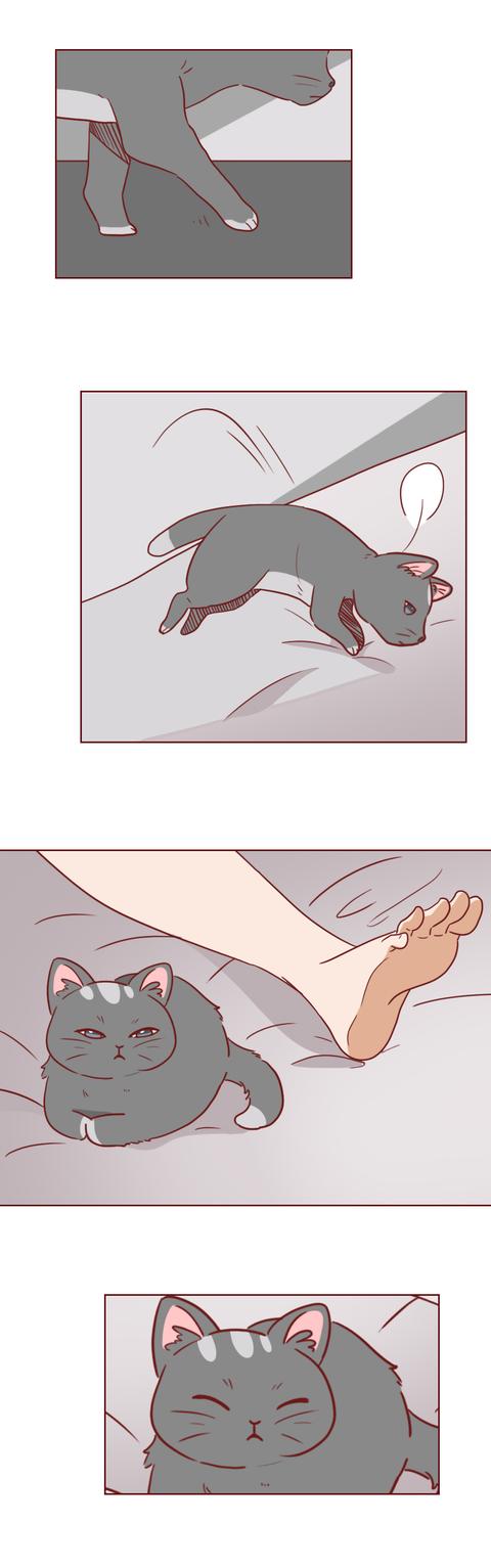 女孩|一只捡来的猫，给了抑郁症女孩第2次生命，有时兽性比人性强