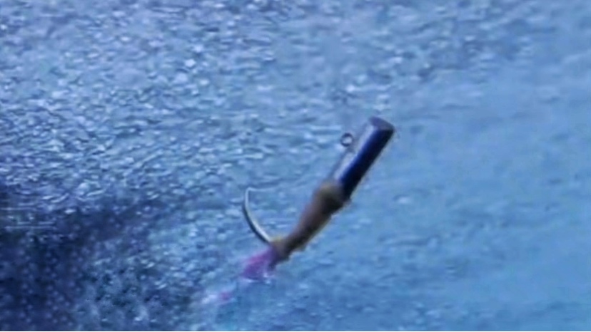 疯狂|海中捕捞金枪鱼为什么不用渔网？为什么能连续钓不摘钩，真相来了