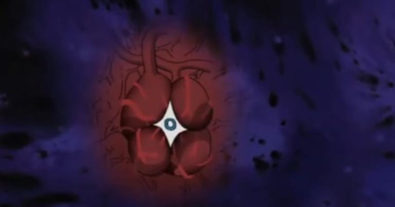 小鳩|琳心臟也有封印，帶土為何不檢查琳的尸體，斑的計劃還能進行？