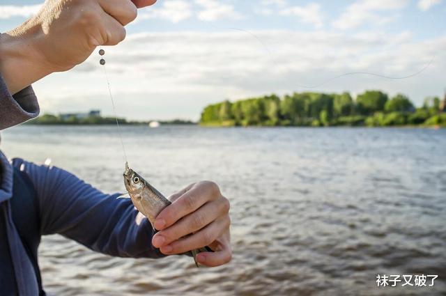 |捕鱼有多么困难?有些人一生都在迷惑中钓鱼