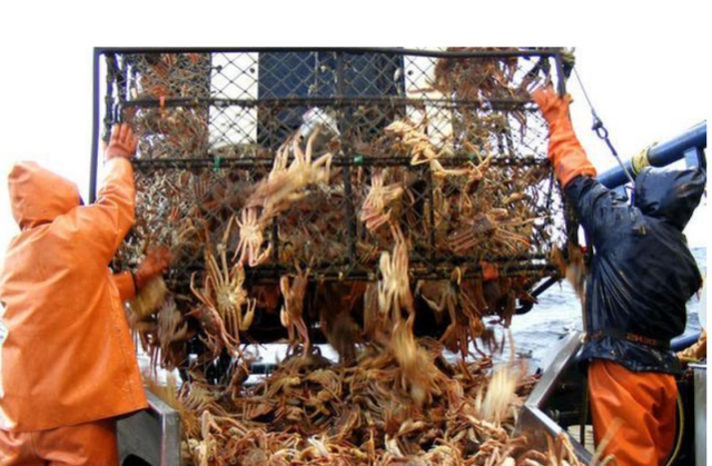 lpl|危险的职业，干5天可赚69万，平均每7天就有一人丢命，你敢做吗