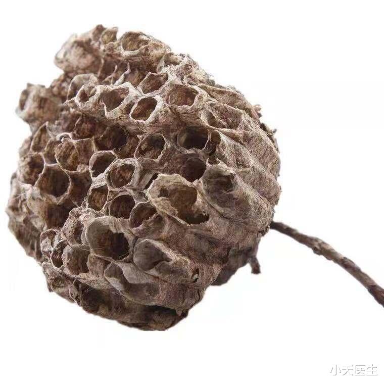 小天医生|中药蜂房，即可攻毒杀虫，外用又可缓解风湿痹症！