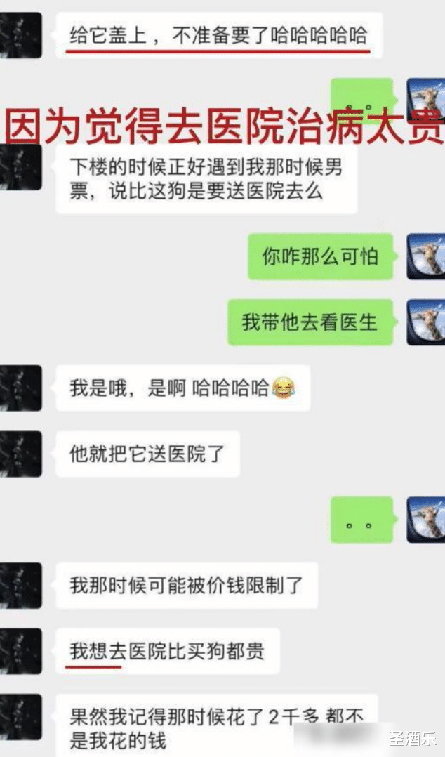圣酒乐 张恒向郑爽的粉丝们写了一封信，戏精？沙雕？什么时候能结束闹剧