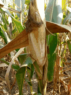 酒吧|“今天酒吧蹦迪时踩到的，软软的一团，这是啥啊”哈哈哈无敌了！！