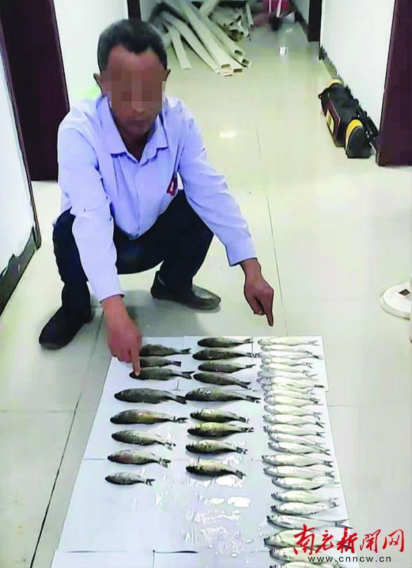 南充|钓鱼2.5公斤 南充男子遭罚4000元