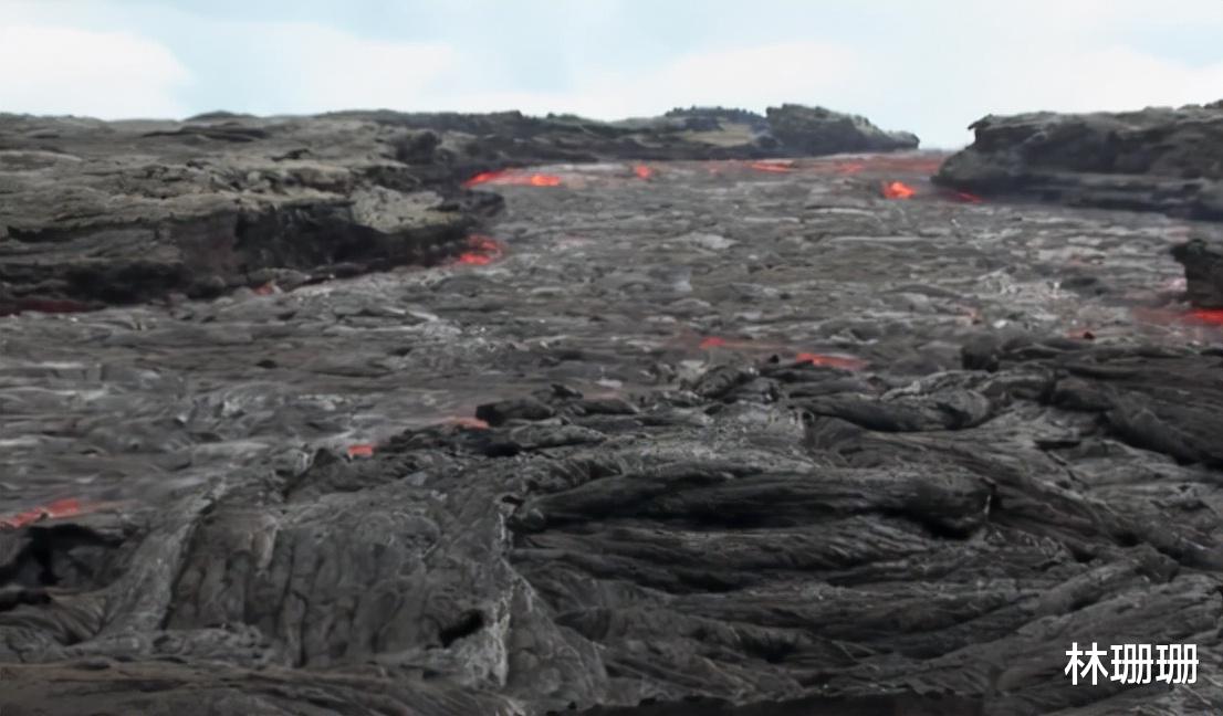 群星|动物广翅鲎：专吃海洋“浮尸”，4亿年前最先登陆地面的动物