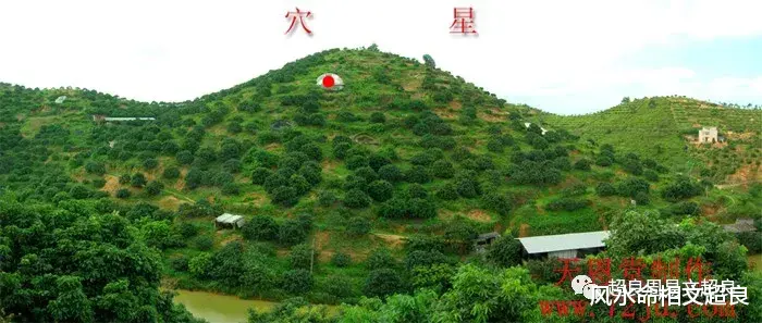 风水命相文超良|林砺儒的祖坟真怪,李氏葬了发水肿,林氏葬了出高官!