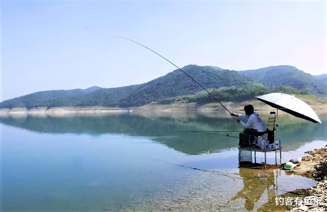 广西|懂得调漂不一定能钓到鱼，有些细节被忽略，你可能永远不知道