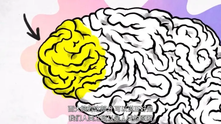 明星|这压轴大瓜，越扒越恶心