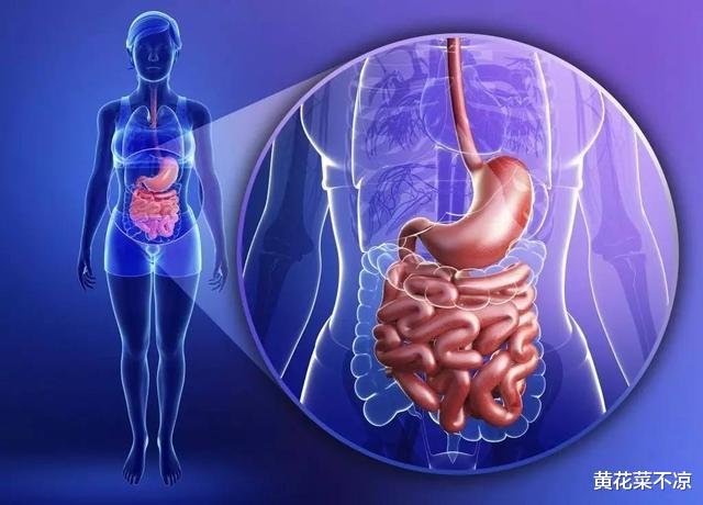 大肠癌|肠胃功能较差的人，可以多吃这4种水果，或能帮助修复胃黏膜