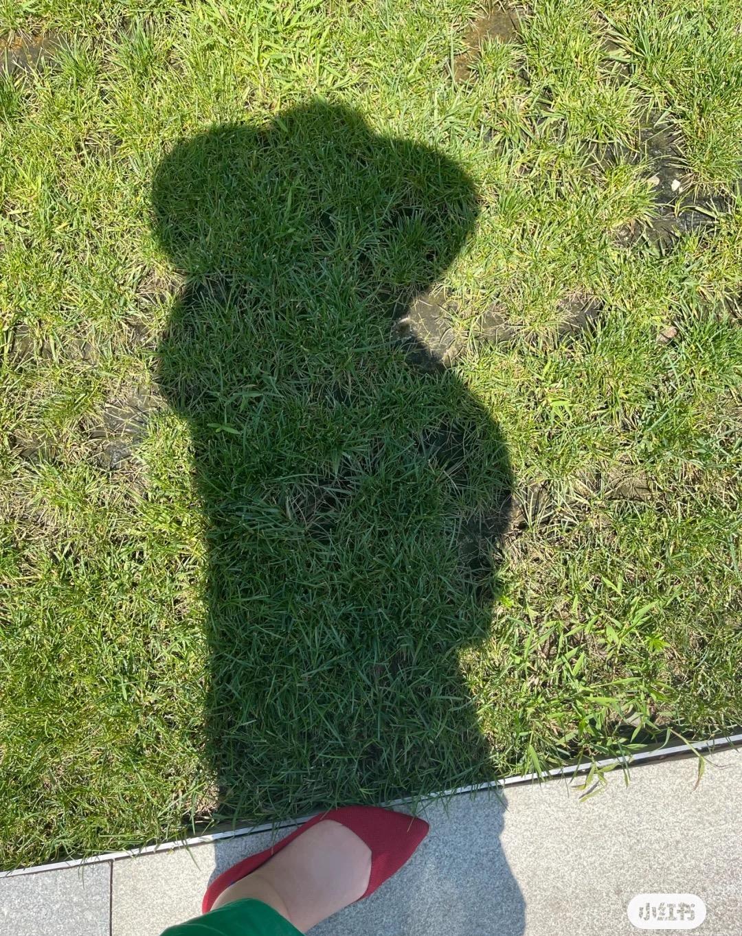 阿七聊|朱珠挺孕肚逛街，肚子大得像怀了双胞胎，既有母性美又有女性美