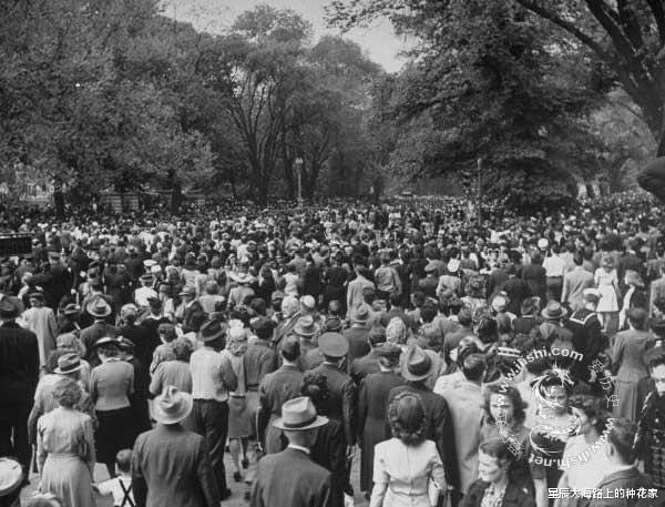 |美国出现僵尸蝉：真菌操控下，即使腹部变菌孢，交配也不会停止！