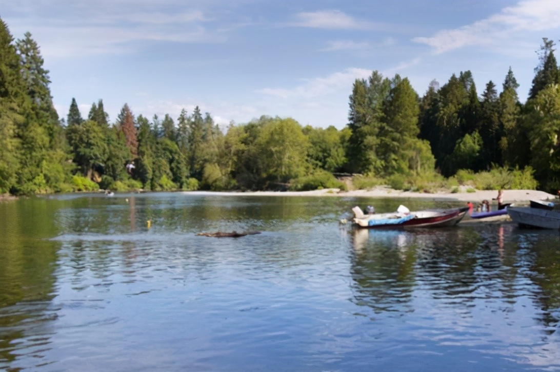 |夏季钓鱼选位不难,着重寻找这些位置,轻松爆护——盛世三渔