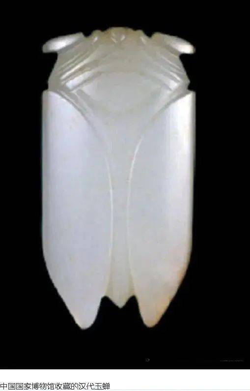 雕刻|浅论汉代玉蝉
