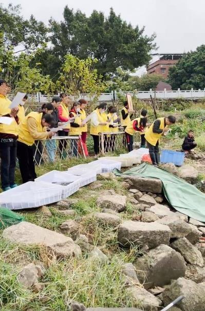 巴西龟|刚甩两杆就遇到了放生佬，我国咬牙对付34年，为何还在放生巴西龟