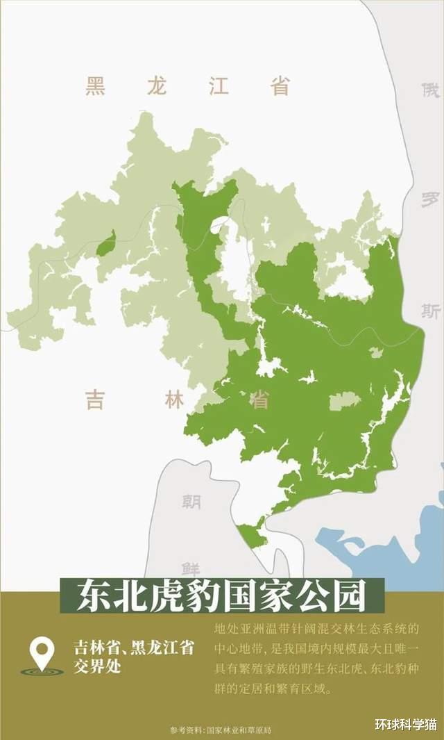 极其罕见！东北发现神兽“白狍子”，狍子有多傻，为何没有灭绝？