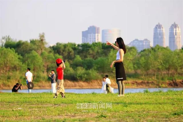 哈尔滨新闻网 好热，但是好喜欢｜这样的你，爱了