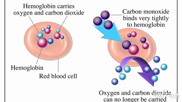 深圳市 真实存在于世界，饶富趣味的18个猎奇冷知识