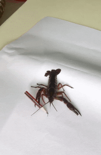 铭洋说育儿|神回复：90后没做过高铁飞机，一身地摊货，请不要嘲笑我，大神两个字让我笑了