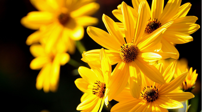 天秤座|12星座职场受欢迎程度排行榜，看看你能排第几？