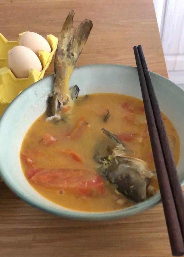 长江|黄颡鱼吞食刀鳅结果噎住，双双被钓鱼人捡走，钓鱼人：一起煮了