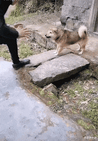 晨晨说生活 “我和我妈省钱的区别,太真实了哈哈哈哈哈!!!!”