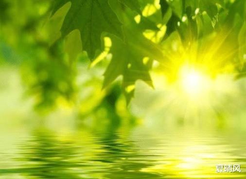 韭菜|一个人越活越年轻的6个习惯，请逼自己一定要养成