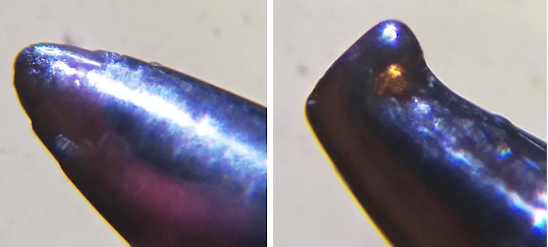  25张罕见的照片，证明世界充满了奇迹