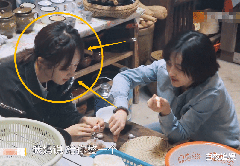 蒙牛乳业|杨紫绯闻后上《向往5》，张艺兴眼神暴露了内心，有没有戏很显然