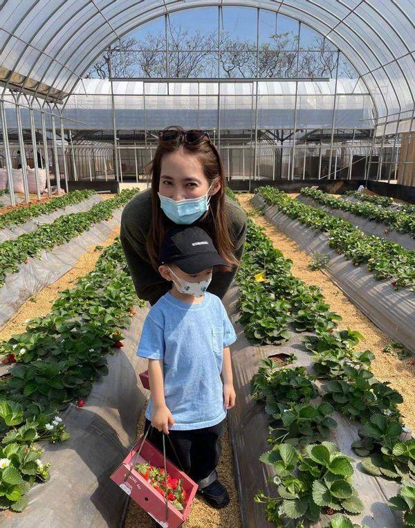 餘文樂老婆帶兒子采摘草莓，畫面溫馨，身價過億為養傢賣豪車-圖2