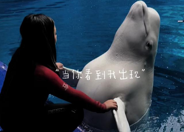 孙红雷|12岁王诗龄近照瘦一大圈!下巴尖成锥子形状,穿紧身裤双腿十分细